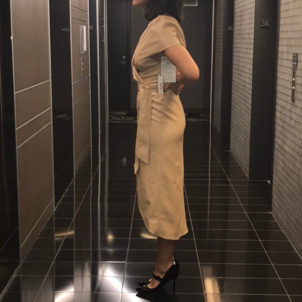 NWT❤️Alice +Olivia Vegan midi dress - Picture 12 of 15